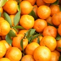 香甜的橘子