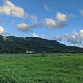 滿州草原