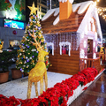2020台北市東區聖誕節慶