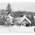 大雪紛飛的日本北海道  積雪深厚  天寒地凍
但皚皚白雪  將大地妝點成一片  如詩如畫、美麗動人的銀白世界!