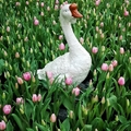 2022士林官邸鬱金香展從「春天、喜悅、幸福、情感」出發，以 《遇見幸福》為主題，營造春天賞花的浪漫氛圍。