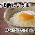 生蛋拌飯/新潟米