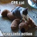 CPR3