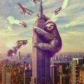 Sloth Kong