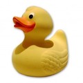 rubberDuck