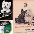 西莎 (Cesar) 及黑白狗精品蘇格蘭威士忌 (Black & White Scotch Whiskey)的吉祥物. 西高地白㹴 (West Highland white terrier)簡稱 Westie. 黑白狗的黑狗是蘇格蘭㹴犬 (Scottish terrier), 簡稱 Scottie.