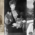Queen Alexandra of Denmark (1844-1925),英王愛德華七世的王后, 左: 西藏獵犬 (Tibetan Spaniel, 簡稱 Tibby), 中同隻西藏獵犬, 右:日本狆 (Japanese chin)