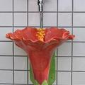 hibiscus urinal