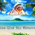 樹懶 sloth