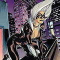 BlackCat漫威  《蜘蛛人》（The Amazing Spider-Man）在1979年出現了一位新人物，她的大名叫做「黑貓」