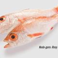 正名叫赤鮭，屬於發光鯛科，拉丁學名 Doederleinia berycoides，英文名字Rosy seabass，大陸叫赤鯥，台灣叫紅喉、紅佳夢、紅臭魚、紅鱸。
紅喉的喉嚨和黑喉一樣也是黑的，所以紅喉＝紅黑喉