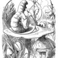 《愛麗絲夢遊仙境》（Alice's Adventures in Wonderland，Lewis Carroll, 1865）約翰·坦尼爾（John Tenniel）插圖。a hookah-smoking blue caterpillar 