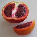 blood orange, 拉丁名 Citrus sinensis 原生於西班牙或義大利