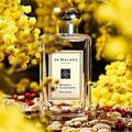 Jo Malone London的Mimosa & Cardamom Cologne, 雖譯成含羞草與小荳蔻, 黃色的花是銀荊 (silver wattle)
