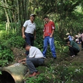 2012-05-05龍潭小粗坑桐花