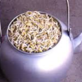 茶壺2