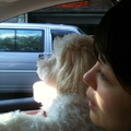 snoopy and mommy