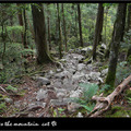 登大霸尖山 - 20