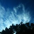 清晨的藍天白雲(五指山頂) - 3