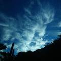 清晨的藍天白雲(五指山頂) - 4