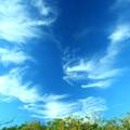 清晨的藍天白雲(五指山頂) - 8