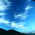 清晨的藍天白雲(五指山頂) - 3
