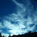 清晨的藍天白雲(五指山頂) - 5