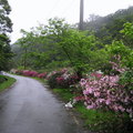 2014.03.02政大.樟山寺