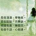 長夜漫漫﹐夢無痕﹔
星辰點點﹐月無缺﹔
有緣有應﹐無需問﹔
知音不語﹐心相連。