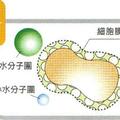 金字字塔能量活水生飲機