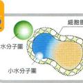 金字字塔能量活水生飲機