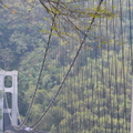 義興吊橋