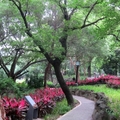 Park Beitou0607-by MM