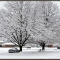 Winter scene snow4427-By MM