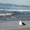 --南加州 Redondo beach