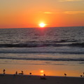 海畔日落—MM攝影