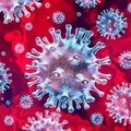 COVID-19新型冠狀病毒圖譜   網路照片