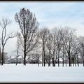 Winter snow scene4431-By MM
