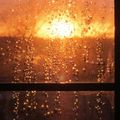 Rainy window scene4749-By MM