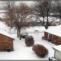 Winter snow scene 4541-By MM