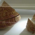Seashells Z-By MM