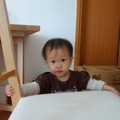 Siena 一歲 專心想搬起椅子來。每根手指緊按椅子木條，指甲下的肉色都變白了。
