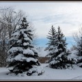 Winter scene snow4432-By MM
