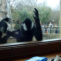 2010 Memphis Zoo