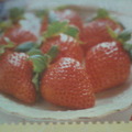 草莓84