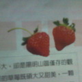 草莓88