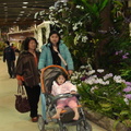 之前台北有一個花博展，三不五時廣告就一直在宣傳，所以阿公和阿嬤就一直想去看看，因此阿公、阿嬤、媽咪和我就找了一天去參觀。