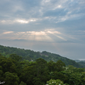 山城。白花