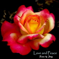 Love&Peace