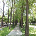 台中綠園道
